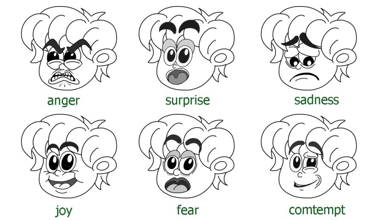 6 basic emotions